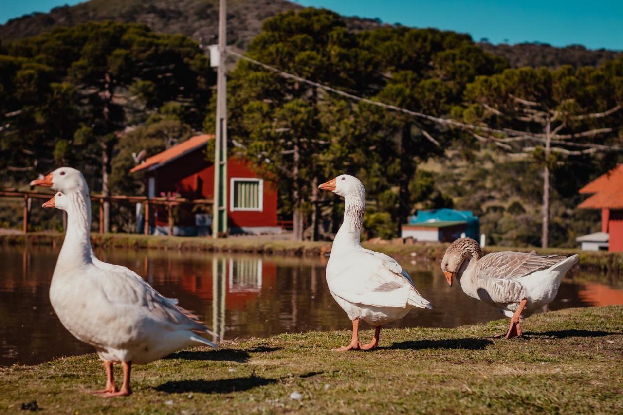 Pousada Lago Da Colina Урубиси Екстериор снимка